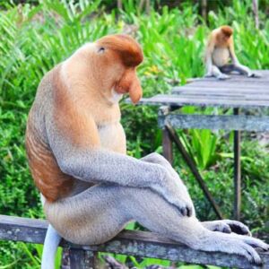 Fun趣沙巴_海島新樂園 5日